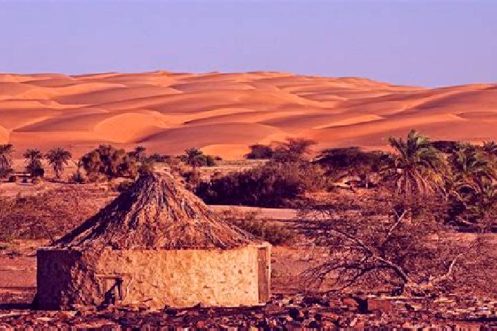 Madison, 35 — Escort in Mijek, Western Sahara