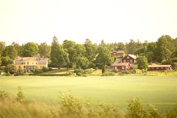 Madison, 35 — Escort in Odensbacken, Sweden