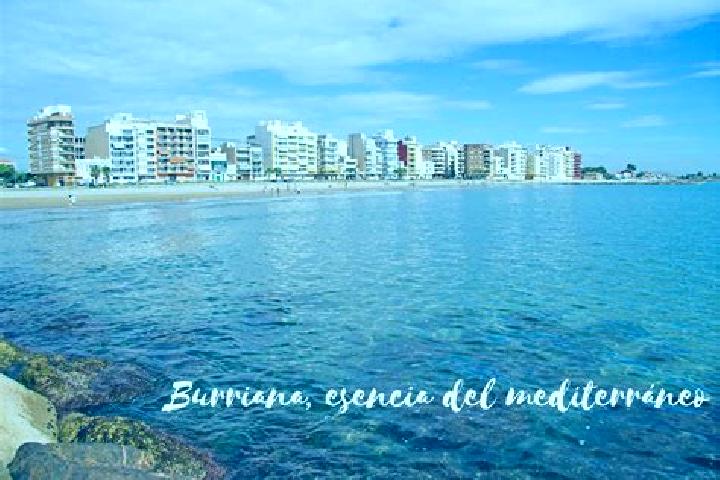 Madison, 35 — Escort in Onda, Spain