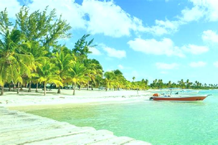 Madison, 35 — Escort in Padre Las Casas, Dominican Republic