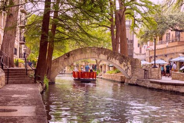 Madison, 35 — Escort in San Antonio la D, Mexico