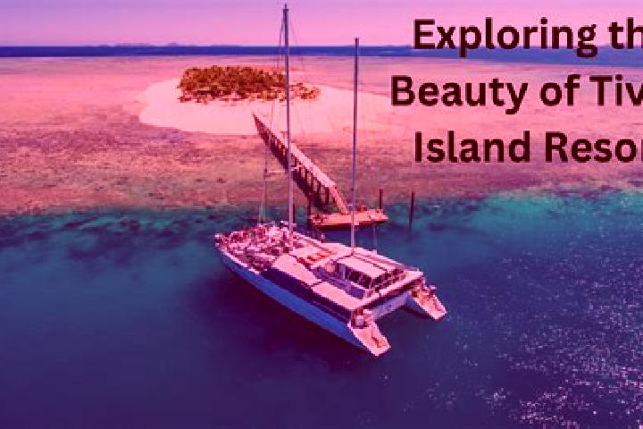 Madison, 35 — Escort in Tavua, Fiji