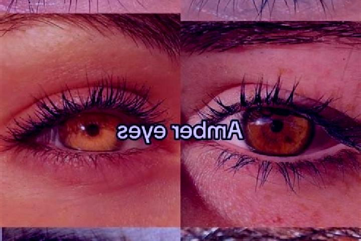 Madison, 36, a chestnut amber-eyed caucasian companion based in Lyasny. Offering Overnight, CIM, 69. Available for incall and outcall, day and evening dates.