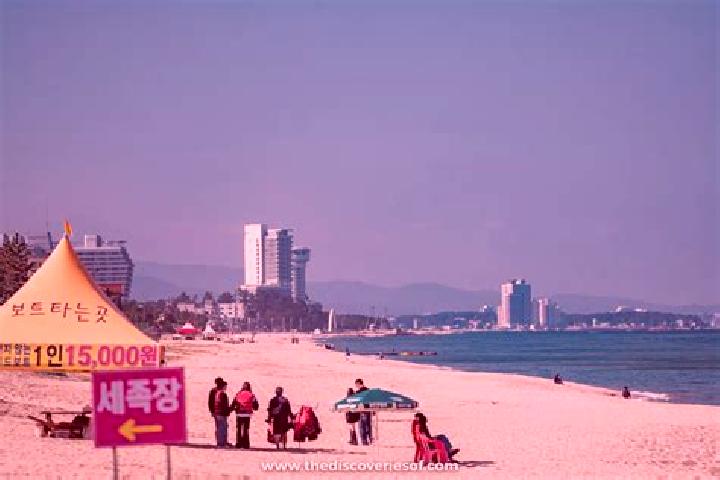 Madison, 36 — Escort in Gangneung, South Korea