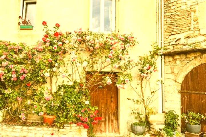 Madison, 36 — Escort in Grignan, France