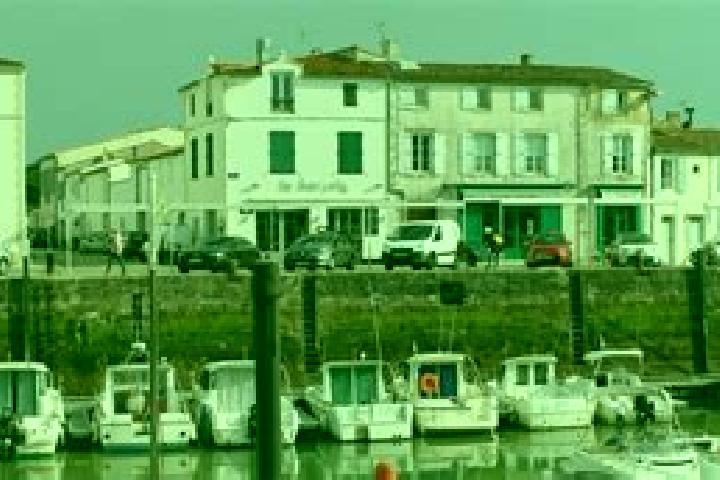 Madison, 36 — Escort in La Flotte, France