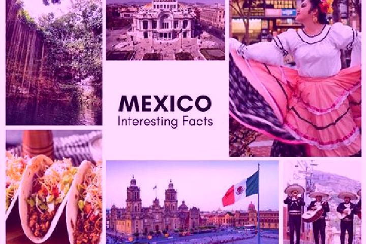 Madison, 36 — Escort in La Mancornada, Mexico