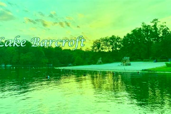 Madison, 36 — Escort in Lake Barcroft, United States
