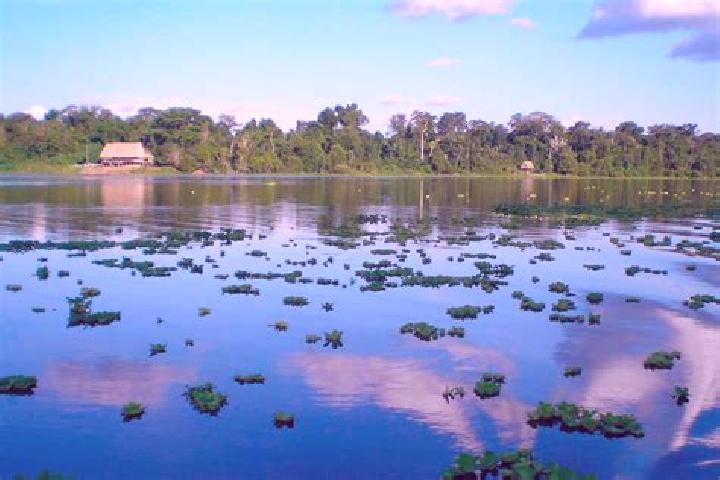 Madison, 36 — Escort in Sabana de Parra, Venezuela