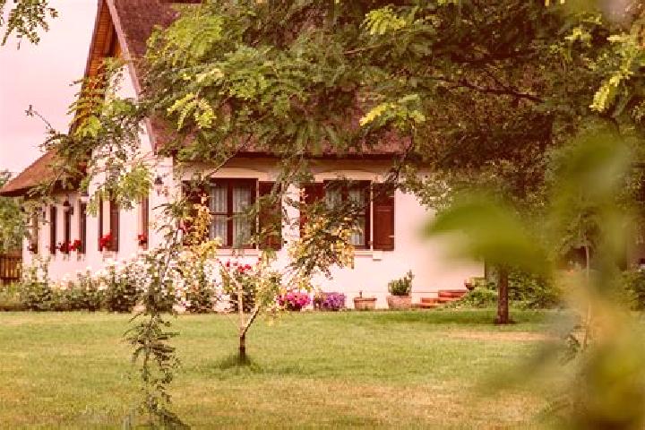 Madison, 36 — Escort in Szigetujfalu, Hungary