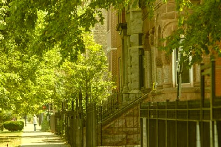 Madison, 37 — Escort in East Garfield Park, United States