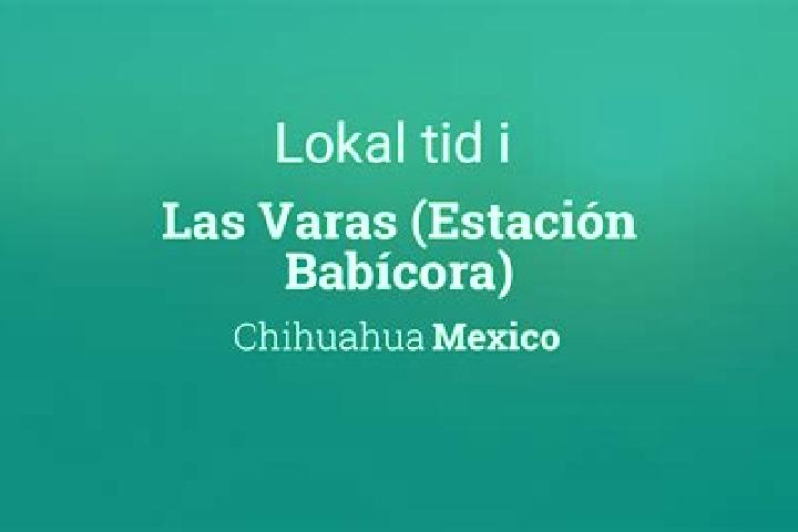 Madison, 37 — Escort in Las Varas (Estacion Babicora), Mexico