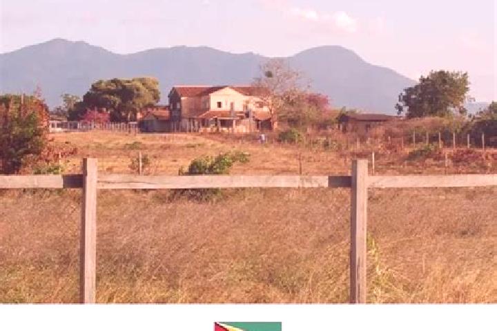 Madison, 37 — Escort in Lethem, Guyana
