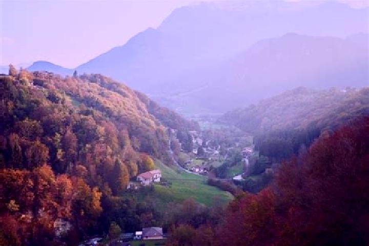 Madison, 37 — Escort in Morterone, Italy