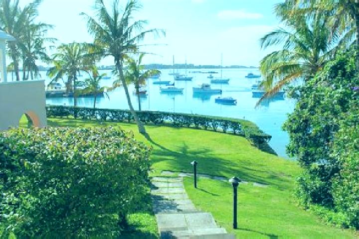 Madison, 37 — Escort in Paget Parish, Bermuda