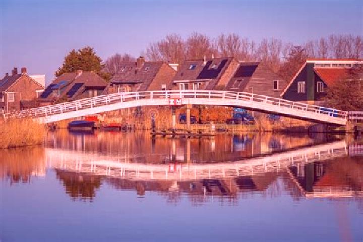 Madison, 37 — Escort in Schiebroek, Netherlands