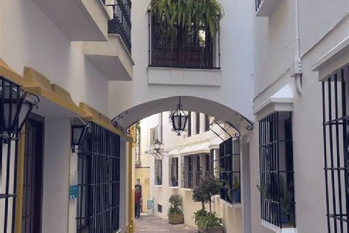 Madison, 37 — Escort in Talamantes, Spain