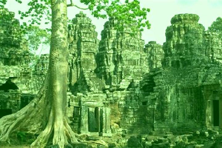 Madison, 38 — Escort in Banteay Meas Khang Kaeut, Cambodia