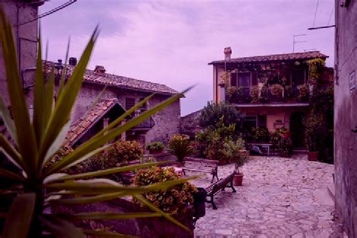 Madison, 38 — Escort in Castiglione in Teverina, Italy