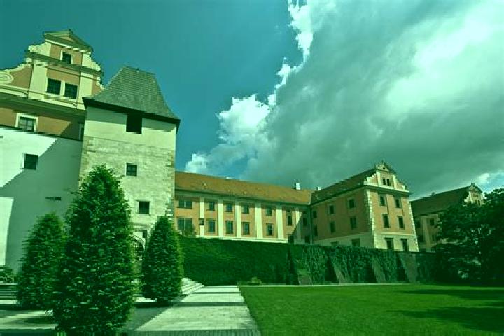 Madison, 38 — Escort in Dolni Ujezd, Czech Republic