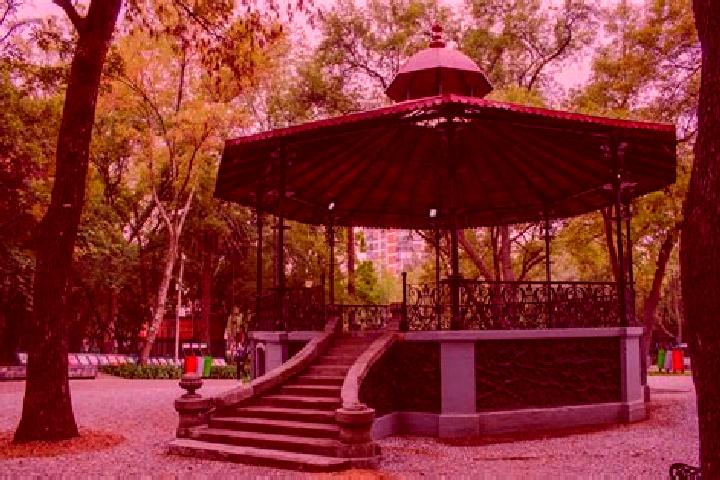 Madison, 38 — Escort in Las Plazas, Mexico