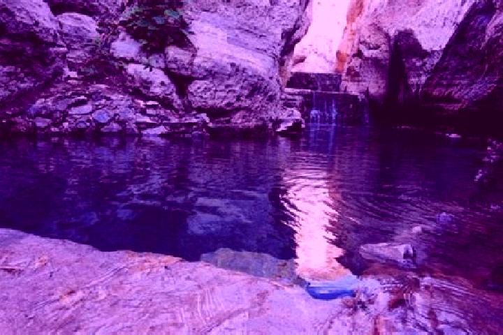 Madison, 38 — Escort in Los Manantiales (El Rio Chiquito), Mexico