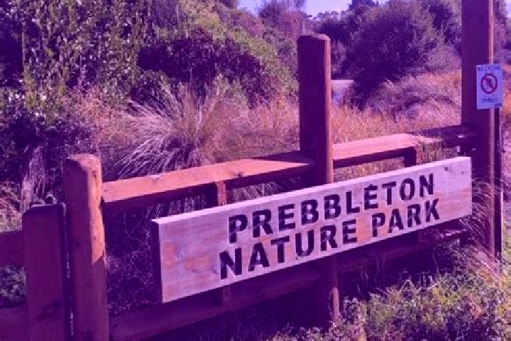 Madison, 38 — Escort in Prebbleton, New Zealand