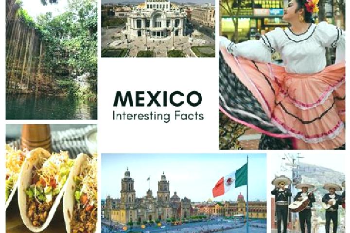 Madison, 38 — Escort in Siempre Viva, Mexico