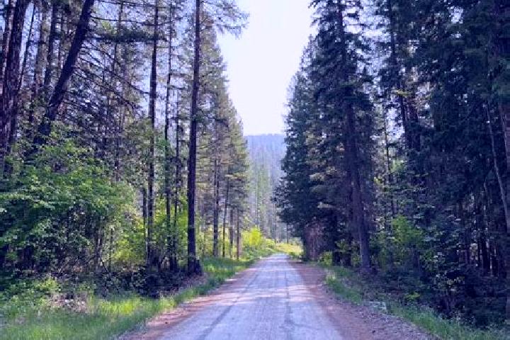 Madison, 38 — Escort in Six Mile, United States