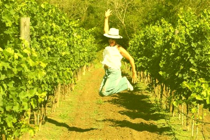 Madison, 38 — Escort in Vinedos Rivier, Mexico