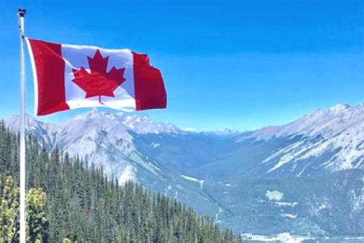 Madison, 39 — Escort in Daveluyville, Canada