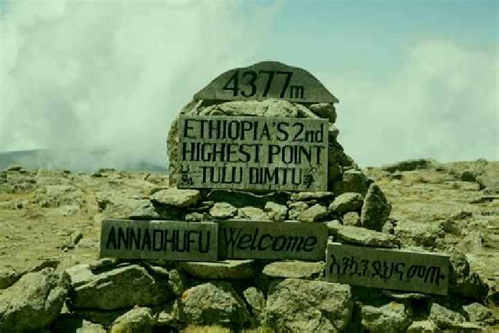 Madison, 39 — Escort in Dimtu, Ethiopia