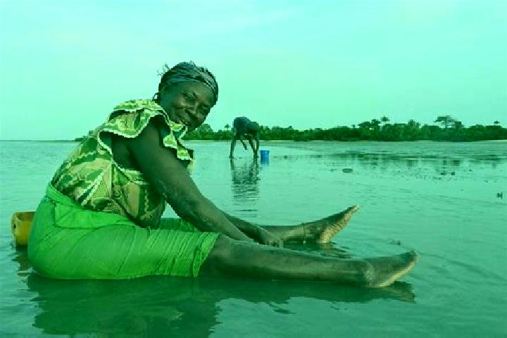 Madison, 39 — Escort in Dingirie, Gambia