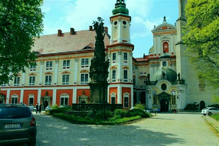 Madison, 39 — Escort in Henrykow, Poland