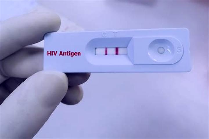Madison, 39 — Escort in Hiv, Iran