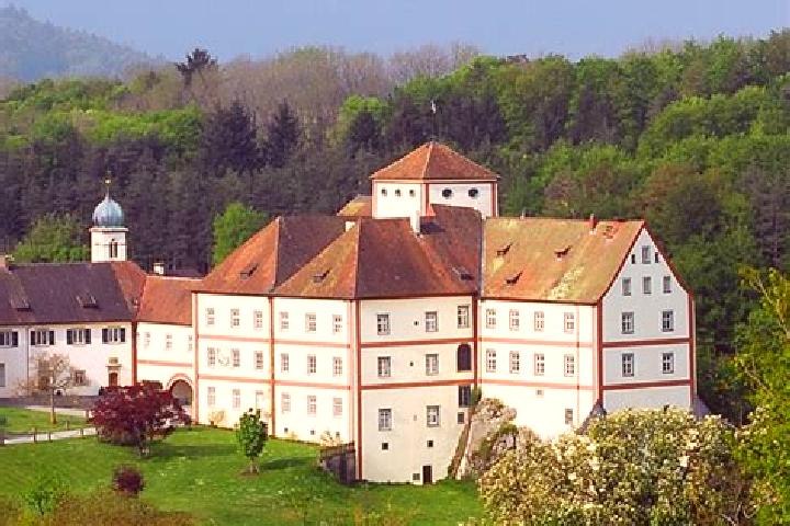 Madison, 39 — Escort in Langenstein, Germany