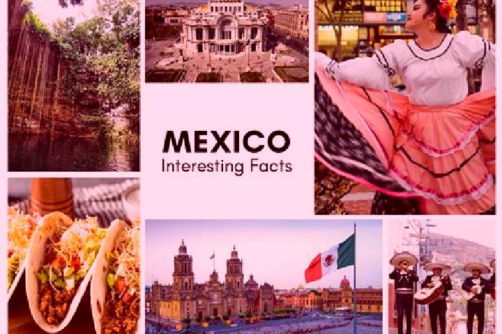 Madison, 39 — Escort in Pilcaya, Mexico