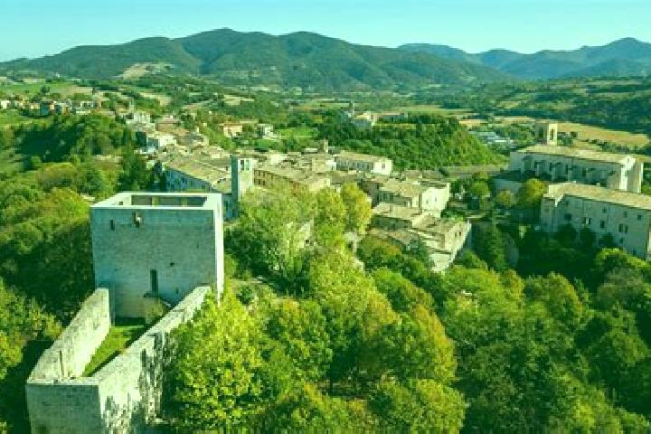 Madison, 39 — Escort in Sassoferrato, Italy