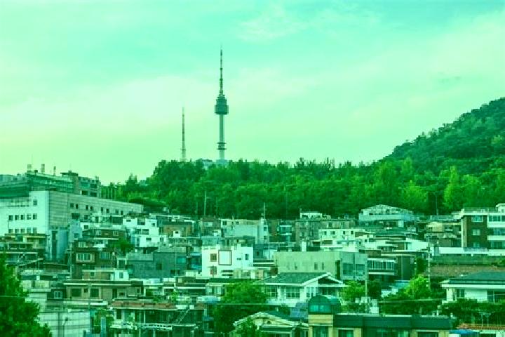 Madison, 39 — Escort in Yongsan-dong, South Korea