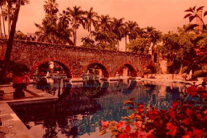 Madison, 39 — Escort in Zahuatlan de Morelos (San Jose), Mexico