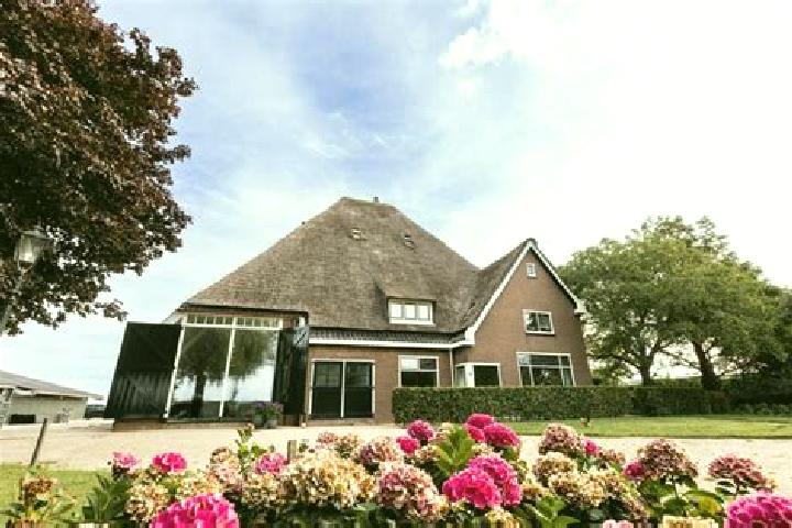 Madison, 39 — Escort in Zwaagdijk-Oost, Netherlands