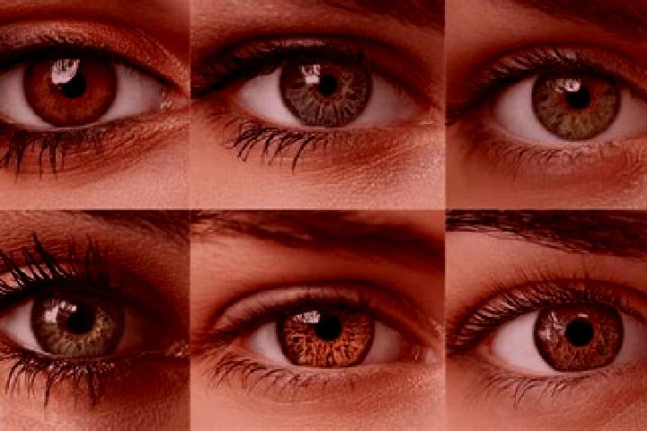 Maya, 20, a red hazel-eyed ebony companion based in Niederviehbach. Offering 69, Duos, A-Level, Overnight. Available for incall and outcall, overnight bookin...