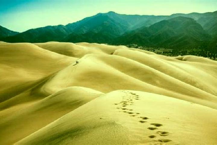 Maya, 20 — Escort in Ogden Dunes, United States
