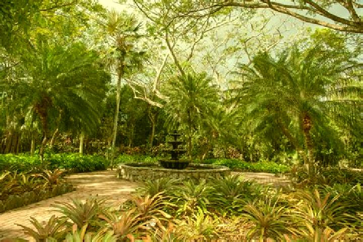 Maya, 20 — Escort in Prospect Park, Cayman Islands