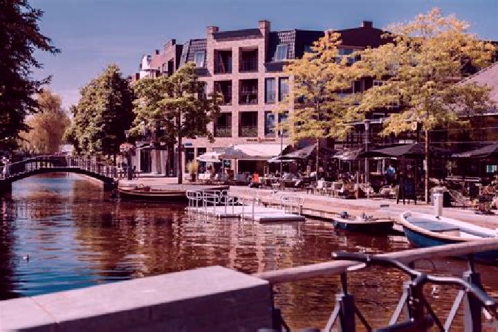 Maya, 20 — Escort in Voorschoten, Netherlands