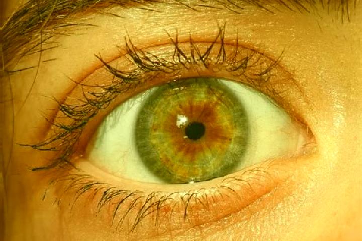 Maya, 21, a red hazel-eyed slavic companion based in Sinteu. Offering Domination, CIM, Erotic Massage, BDSM. Available for incall and outcall, overnight book...