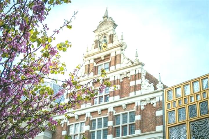 Maya, 21 — Escort in Palenstein, Netherlands
