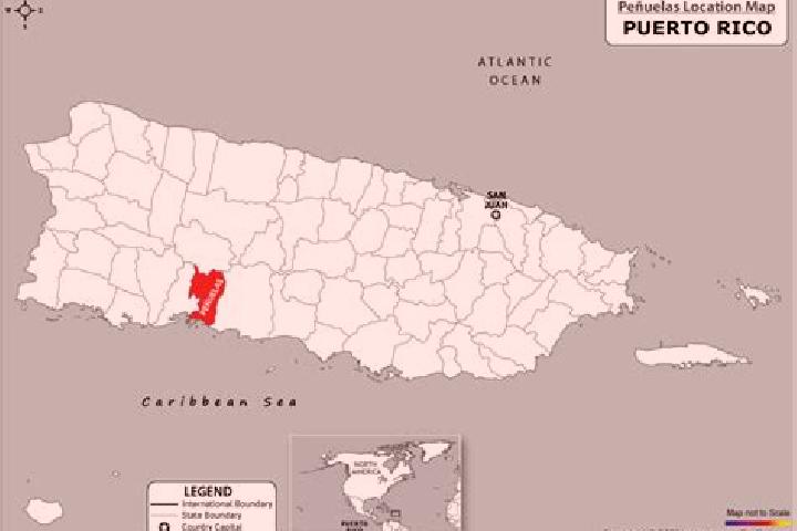 Maya, 21 — Escort in Penuelas, Puerto Rico