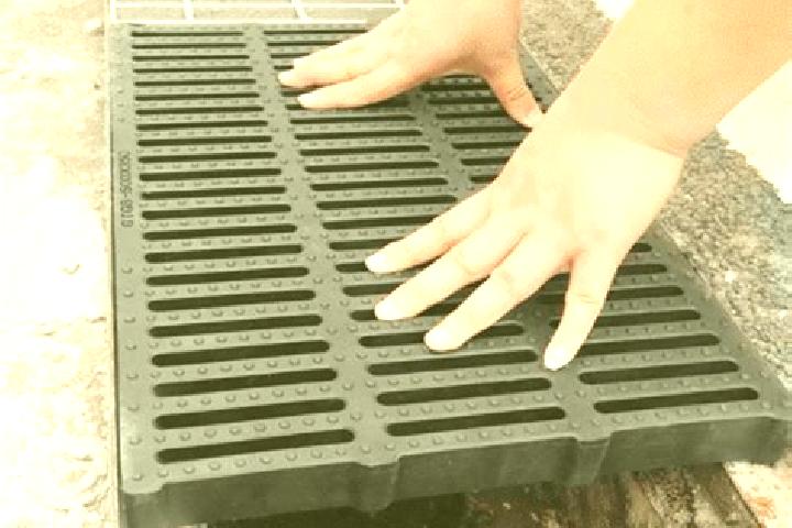 Maya, 22 — Escort in Drain, France