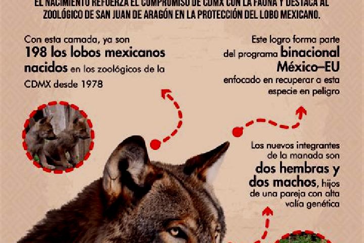 Maya, 22 — Escort in El Lobo, Mexico